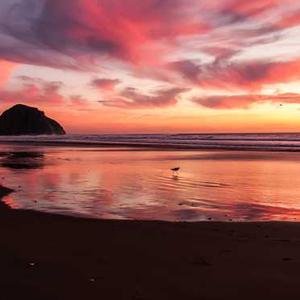 BHouy7261's profile picture. 