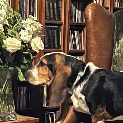 Christian, Criminologist, ex-child, author, musician. Interests: Child First youth justice, heavy rock, cello, basset hounds, wild swimming, tennis. Views own