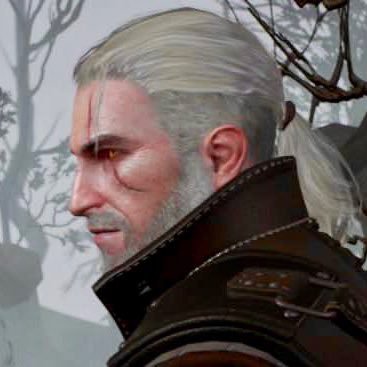 27 | he/him | white | bi | 🏳️⚧️| I like the Witcher, comics, werewolves, and video games