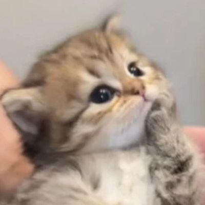 _dummy_dumb_'s profile picture. ocehannyaqudzey