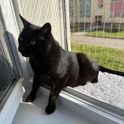 Grz2073666's profile picture.