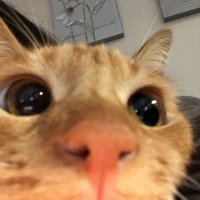 Mram (@maramal106) Twitter profile photo