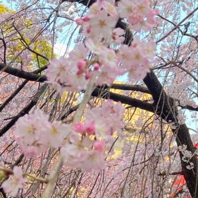 ㌢さんのプロフィール画像
