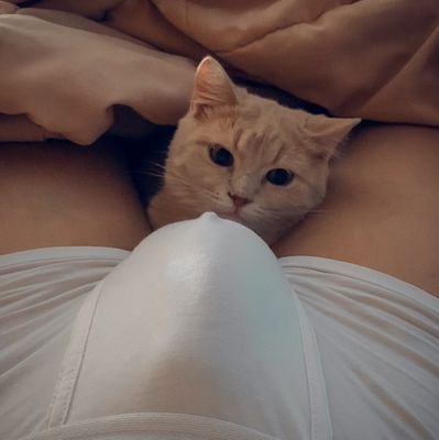 nak_gerr's profile picture. 