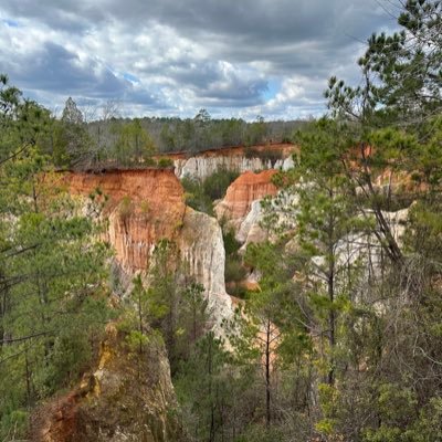 hasnocontent's profile picture. 