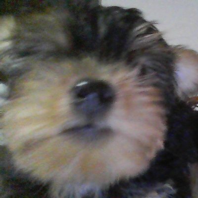 caioprata320960's profile picture. 