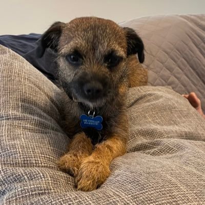 chetchick's profile picture. 