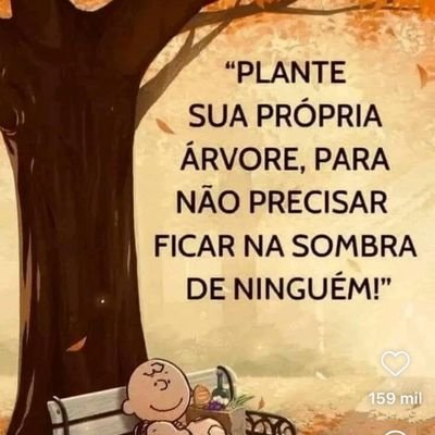Roberto35885057's profile picture. Professor, casado, amo minha família, minha terra, minha pátria e gostaria de ver um Brasil melhor ainda na minha geração.