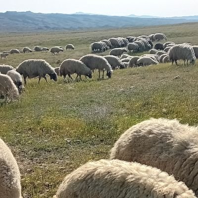 دنیا با تمام جلال و جبروتش روزی فرو خواهد ریخت...