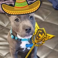 skylight (@skylightfn) 's Twitter Profile