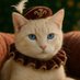 The Cat Flaneur (@thecatflaneur) Twitter profile photo The Cat Flaneur (@thecatflaneur) Twitter profile photo