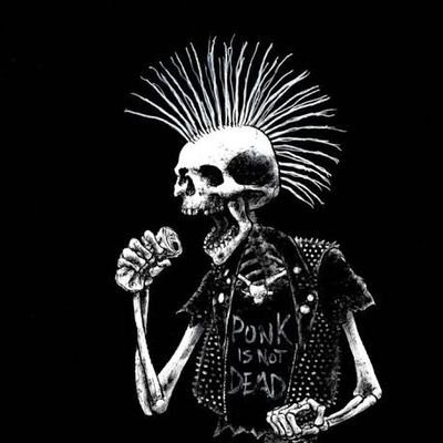 Rjpunk46's profile picture. Fueled by loud music, fierce vibes, and untamed energy! 😎🔥