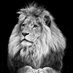 Dennis Putra (@putr20874) Twitter profile photo Dennis Putra (@putr20874) Twitter profile photo