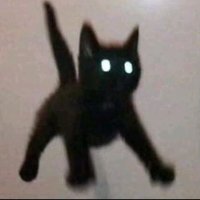 7361819633 (@lk1vxs2) 's Twitter Profile