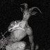 Goatman Groyper (@helpme26agh9545) Twitter profile photo Goatman Groyper (@helpme26agh9545) Twitter profile photo