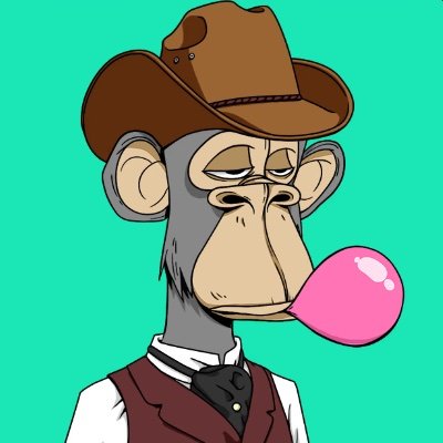0xSkinGuy's profile picture. 📊 CS2 Economist & Analytics
🔫 Collector