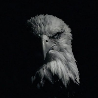 Ernesto195724's profile picture. No trains, no DM