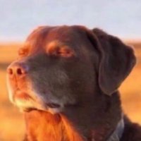 Johnnex023 (@johnnex023) 's Twitter Profile