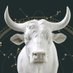 KlausD (@klausdorth) Twitter profile photo KlausD (@klausdorth) Twitter profile photo