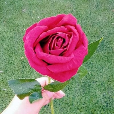 @smralqhtany35