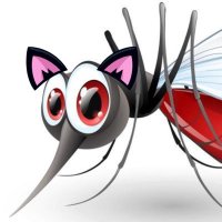 Nefarious transgender mosquito (@ezrattaite) 's Twitter Profile