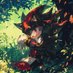Noah (@noah32darck) Twitter profile photo Noah (@noah32darck) Twitter profile photo