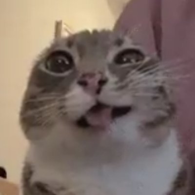 katttさんのプロフィール画像