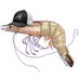 Providence Shrimps is Bugs (@shrimpsisbugsbb) Twitter profile photo Providence Shrimps is Bugs (@shrimpsisbugsbb) Twitter profile photo