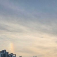 거울 (@mirror_ow) 's Twitter Profile
