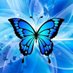 Alex mikos (@alexalexmi68538) Twitter profile photo Alex mikos (@alexalexmi68538) Twitter profile photo