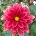 Susana Blanco (@susanablan42928) Twitter profile photo Susana Blanco (@susanablan42928) Twitter profile photo
