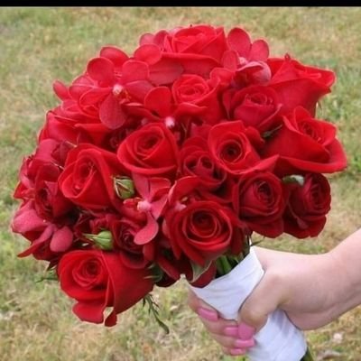 فحل وصديق المتحررين ومن لهم رغبه في المتعه والسريه