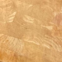 Petra Hoogerwerf (@pfhoogerwerf) 's Twitter Profile