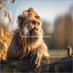 Olavi Tomi Lindroos (@tomiolavi30848) Twitter profile photo Olavi Tomi Lindroos (@tomiolavi30848) Twitter profile photo
