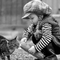 m (@___yfli) Twitter profile photo