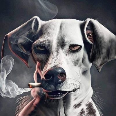 iheaboy_ugo's profile picture. 