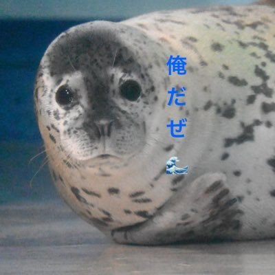 @tomocha75081778