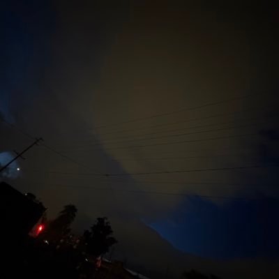 reallyher444's profile picture. 