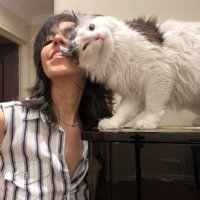 Shadi (@shadiii) Twitter profile photo