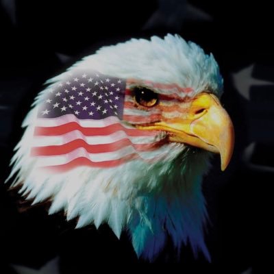 Back the blue 💙💯 Supports the military 💯Nurses strong💯 American patriot 💯 Common sense advocate💯MAGA💯🇺🇸God bless America❤️🤍💙🚫DM!
