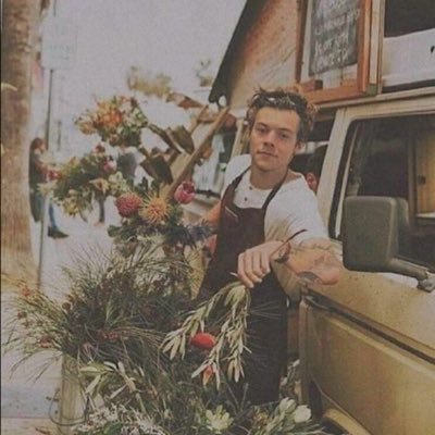 harry styles • books • author of voodoo and so below on wp