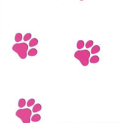 ccc16430's profile picture. 