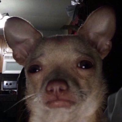 ReekyB1ack's profile picture. 