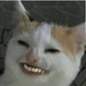 ASJ122112's profile picture. 