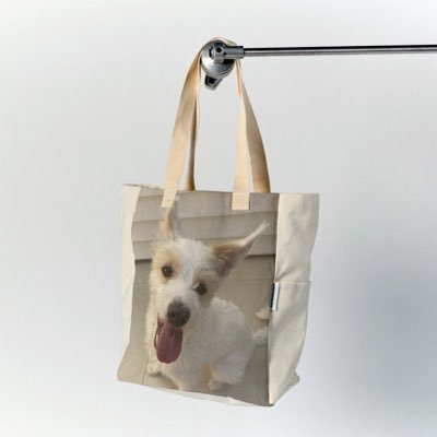 odrallagarodisi's profile picture. 