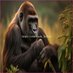 Jens Maximilian Amsel (@amseljens7816) Twitter profile photo Jens Maximilian Amsel (@amseljens7816) Twitter profile photo