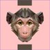 Ilmari Simo Turunen (@ilmari_sim26954) Twitter profile photo Ilmari Simo Turunen (@ilmari_sim26954) Twitter profile photo