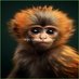 Rudiger Kasimir Auttenberg (@kasimir60853) Twitter profile photo Rudiger Kasimir Auttenberg (@kasimir60853) Twitter profile photo