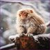 Aaro Arttu Asikainen (@arttuaaro98928) Twitter profile photo Aaro Arttu Asikainen (@arttuaaro98928) Twitter profile photo