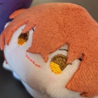 vow | ✦炎星共犯者の賛成者✧ (@isshindoutai316) 's Twitter Profile